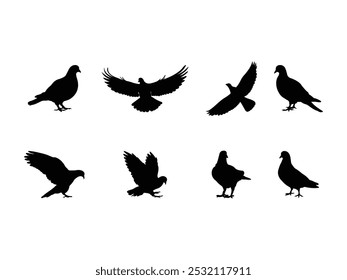 Grupo de Pigeon Silhueta isolado fundo branco. Ilustração de vetor