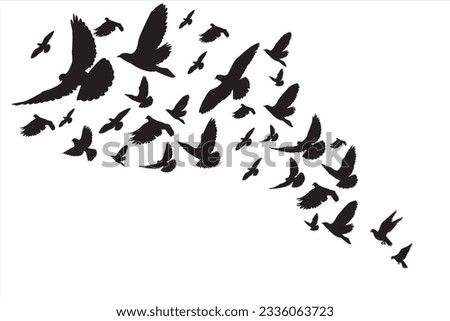 Similar – Image, Stock Photo Pigeons in flight in front of containers in port