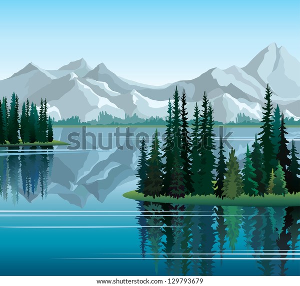 Group Pine Trees Reflected Calm Still Stock Vector (Royalty Free) 129793679