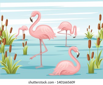 Group of pink flamingo standing in water. Lake with green reeds. Birds stay in lake. Flat vector illustration on blue sky with cloud background.