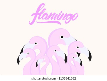 a group of Pink flamingos with lettering . Vector illustration design.