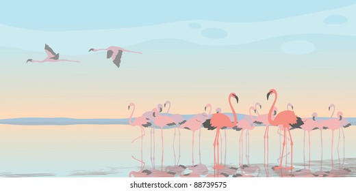 Group of pink flamingos on the bay