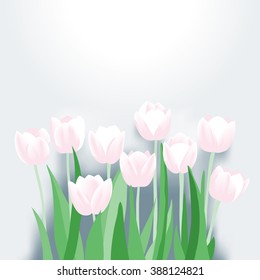 Group of pink tulips