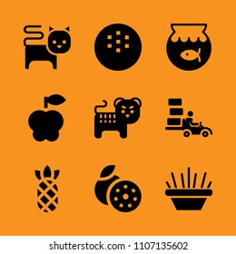 group, plant, one and lunch icon set. Vector illustration for web and design.