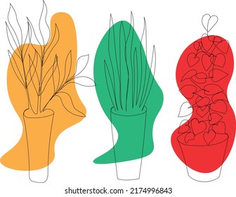 Group of plants for home on a white background. Collection of indoor flowerpots. Home decor. Vector illustration in line art