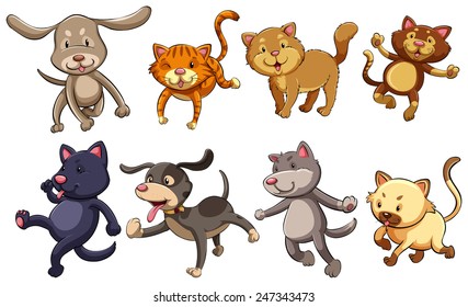 A group of playful cats and dogs on a white background