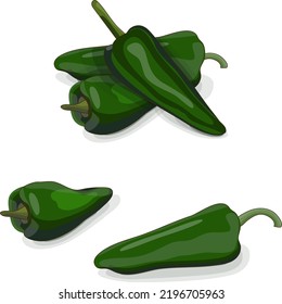 Group of poblano peppers for banners, flyers, posters, social media. Chili peppers. Ancho. Chile ancho. Capsicum annuum. Vegetables. Cartoon style. Vector illustration isolated on white background.