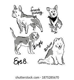 Group of popular breed dogs. Vector Sketch illustration. Fashion  poster in black and white colors.