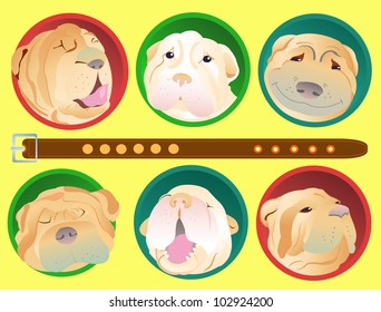 Group portraits of children and adults shar-pei dogs.Vector  illustration. A good gift for lovers of the breed shar-pei