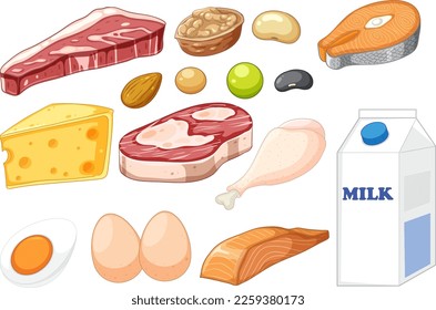 Group of protein food illustration