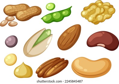 Group of protein foods illustration