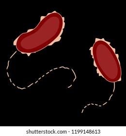 Group of Proteobacterias on black background, vector illustration