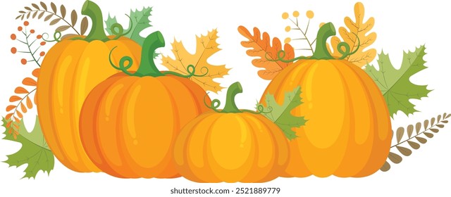 Un grupo de calabaza con hojas de otoño sobre fondo blanco. Otoño Grupo de calabaza y hojas para Acción de Gracias