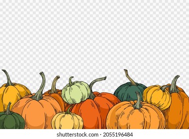 Group of pumpkins in different colors with hand draw with brush style isolated on png or transparent texture,Halloween party background ,element template for poster,online,vector illustration 