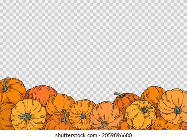 Group of pumpkins in different colors with hand draw with brush style isolated on png or transparent texture,Halloween party background ,element template for poster,online,vector illustration 