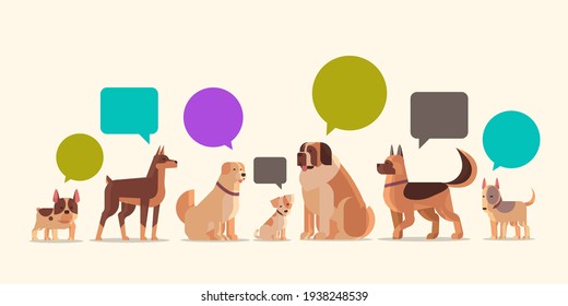 group of purebred dogs with chat bubble speech furry human friends home pets collection concept cartoon animals horizontal