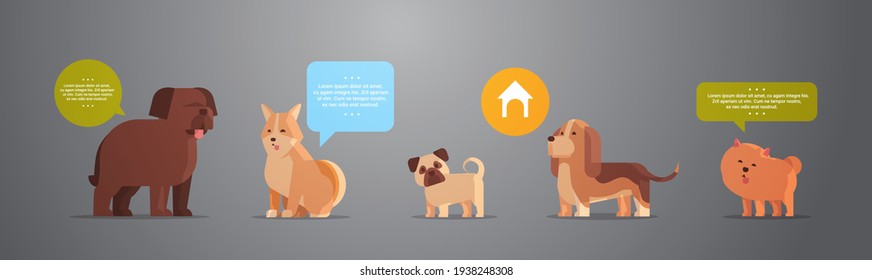 group of purebred dogs furry human friends home pets collection concept cartoon animals horizontal