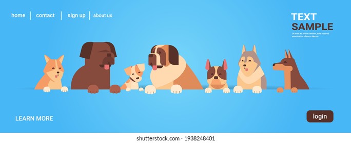 group of purebred dogs furry human friends home pets concept cartoon animals portrait horizontal copy space