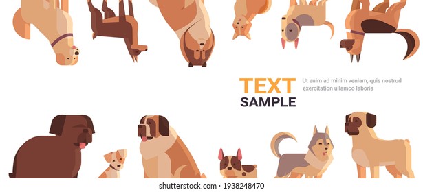 group of purebred dogs furry human friends home pets collection concept cartoon animals set portrait copy space horizontal