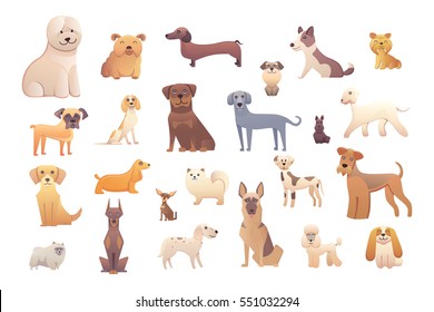 Group of purebred dogs. Illustration for dog training courses, breed club landing page and corporate site design