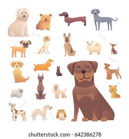 Group of purebred dogs. Illustration for dog training courses, breed club landing page
