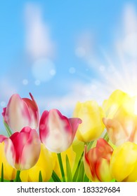 Group purple and yellow tulips against the sky. And also includes EPS 10 vector