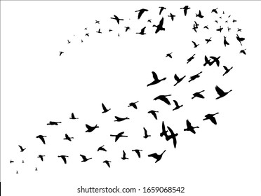 Group Pushes to Save Migratory Birds flock of bird design vector hand drawn
