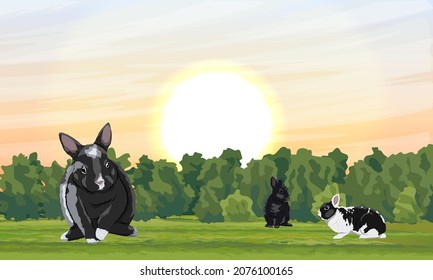 A group of rabbits are sitting on green grass with low bushes. Rabbits in the habitat. Realistic vector landscape