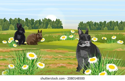 A group of rabbits are sitting on green grass in a meadow with daisies. Rabbits in the habitat. Realistic vector landscape