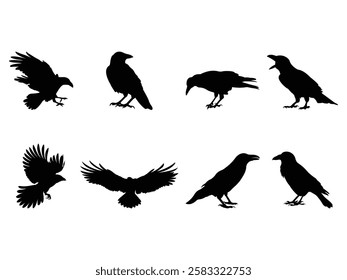 Group of Raven Silhouette isolated white background. Set of black crows icons, Raven icons. Vector Illustration