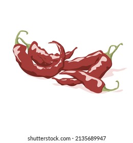 A group of red chilli vector drawing on white background. Spicy, food ingredients. Whole red chilli in different position and shape. Close up organic product, seasoning product pictures. 