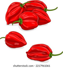 Group of red habanero chili peppers. Capsicum chinense. Hot chili pepper. Fresh organic vegetables. Cartoon style. Vector illustration isolated on white background.