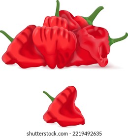 Group of Red scotch bonnet peppers. Capsicum chinense. Hot chili pepper. Fresh organic vegetables. Vector illustration isolated on white background.