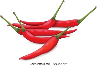 Group of Red Thai chili peppers. Red Chilli Padi. Bird's eye Chilli. Bird Chilli. Thai pepper. Thai chili. Capsicum annuum. Fresh vegetables. Vector illustration isolated on white background.