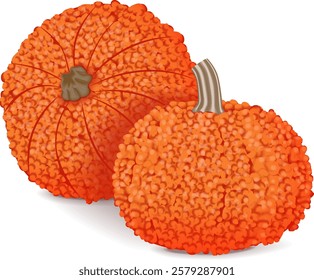 Group of Red Warty Thing Pumpkin. Winter squash. Cucurbita maxima. Fruits and vegetables. Isolated vector illustration.