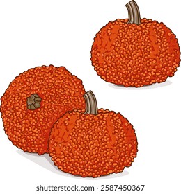 Group of Red Warty Thing Pumpkin. Winter squash. Cucurbita maxima. Vegetables. Clip art. Isolated vector illustration.