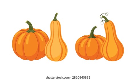 Group of ripe orange pumpkins and butternut squashes showing different shapes and sizes against a white background.