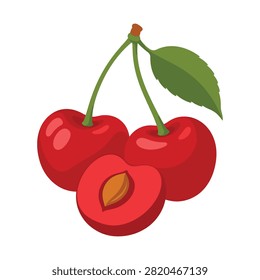 Group of ripe red cherries including one sliced open showing stone pit inside. Vector illustration isolated fruit design.