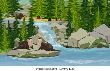 A group of river otters on the shore of a forest lake with a small waterfall and firs. Eurasian otter Lutra lutra, The Eurasian river otter. Wild semiaquatic mammal of Eurasia. Realistic vector animal