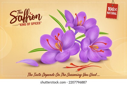 A Group of Saffron flower vector illustration with saffron stamens on brown background