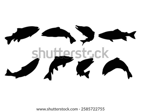 Group of Salmon Silhouette isolated white background. Salmon fish icon set. Vector Illustration