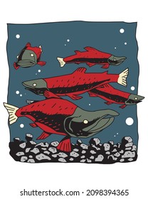 a group of salmon swimming in the rivervector illustration