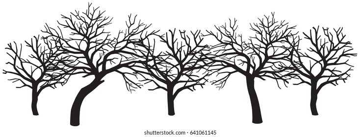 group of scary bare black trees without leaves 