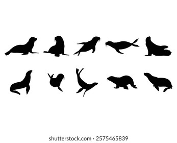 Group of Sea Lion Silhouette isolated white background. Vector Illustration