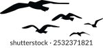 Group Seagull Flying SIlhouette Illustration