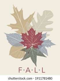 Group of  seven fall leaves
