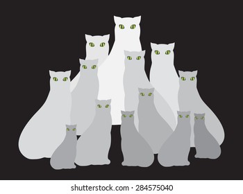 A group of several light cats sitting in a dark room. Vector illustration.