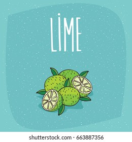 Group of several ripe lime fruits with leaves, whole and beautifully cut into pieces. Visible flesh. Isolated blue background. Realistic hand draw style. Lettering Lime. Vector illustration