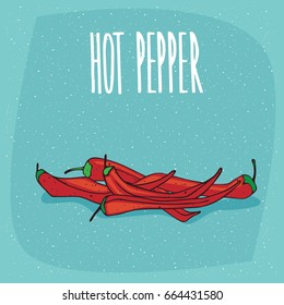 Group of several ripe red capsicum fruits, beautifully and whole. Isolated blue background. Realistic hand draw style. Lettering inscription Hot pepper. Vector illustration