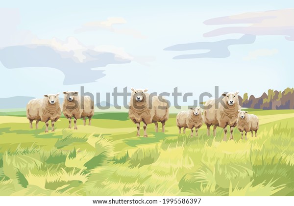 126,742 Sheep On Green Meadow Images, Stock Photos & Vectors | Shutterstock